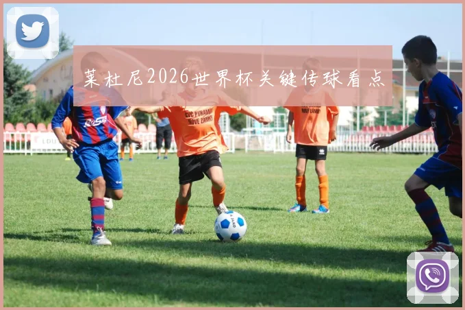 莱杜尼2026世界杯关键传球看点