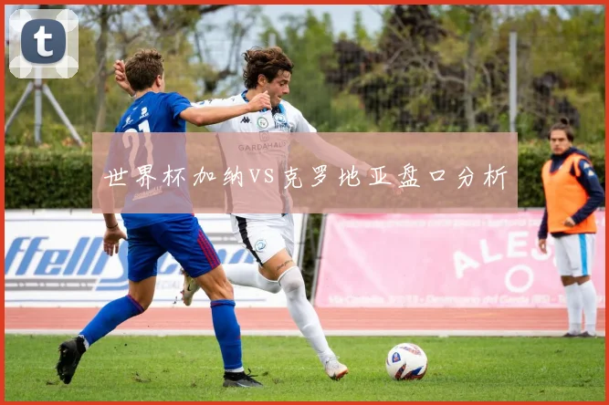 世界杯加纳vs克罗地亚盘口分析