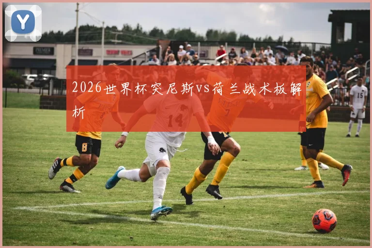 2026世界杯突尼斯vs荷兰战术板解析