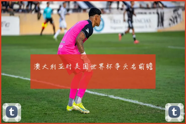澳大利亚对美国世界杯争头名前瞻