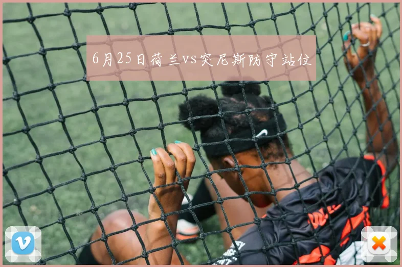 6月25日荷兰vs突尼斯防守站位