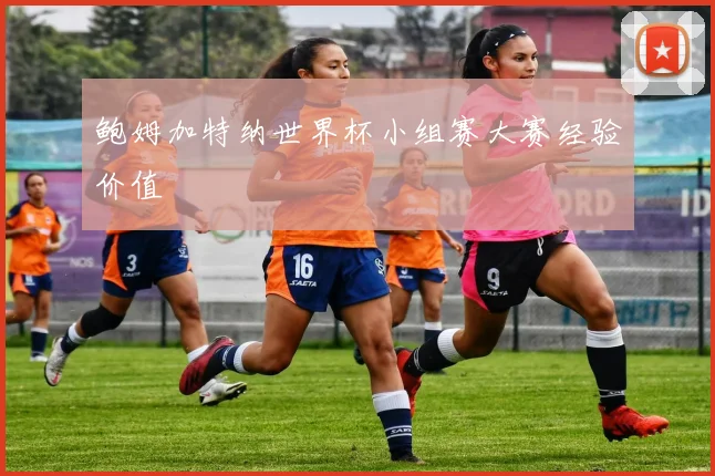 鲍姆加特纳世界杯小组赛大赛经验价值