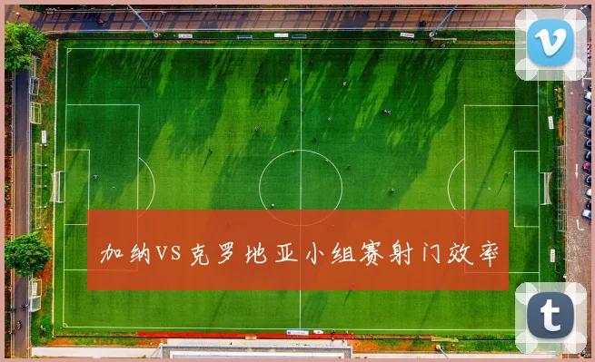 加纳vs克罗地亚小组赛射门效率